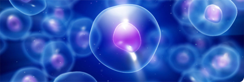 低成本、环保、耐洗涤，Oxi FreshTM全新抗菌技术来袭