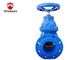 Handle Operated Fire Fighting Valves Dark Stem Resilient Seated Gate Type