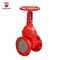 Rising Stem DN50-DN300 200PSI Resilient Seated Gate Valve